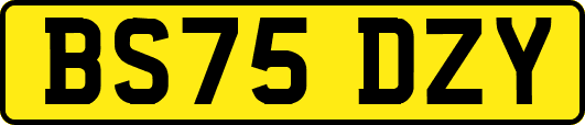 BS75DZY