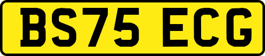 BS75ECG