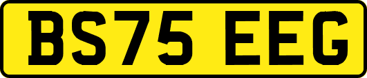 BS75EEG