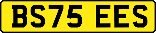 BS75EES