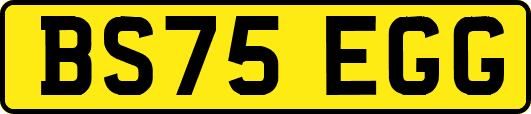 BS75EGG