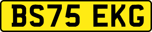 BS75EKG