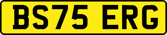 BS75ERG