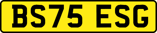 BS75ESG