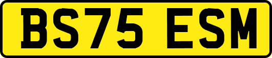 BS75ESM