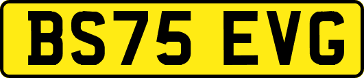BS75EVG