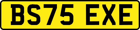 BS75EXE