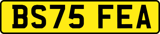 BS75FEA