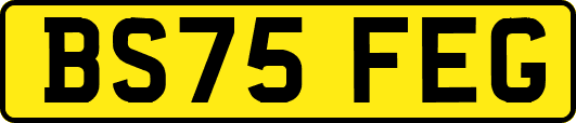 BS75FEG