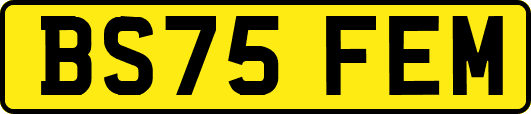 BS75FEM