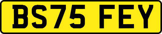 BS75FEY