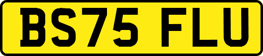 BS75FLU