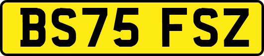 BS75FSZ