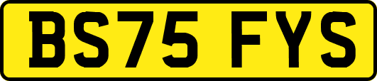 BS75FYS