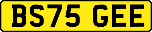 BS75GEE