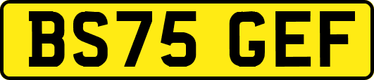 BS75GEF