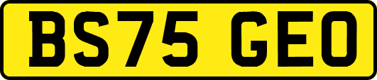 BS75GEO