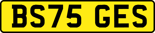 BS75GES