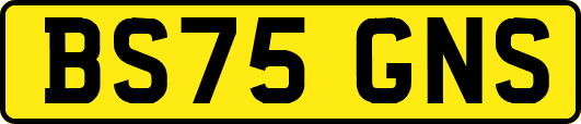 BS75GNS