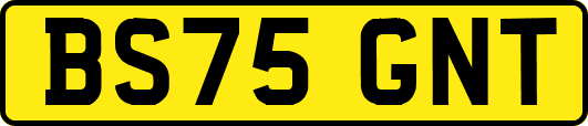 BS75GNT