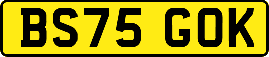 BS75GOK