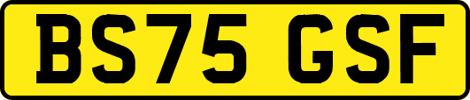 BS75GSF
