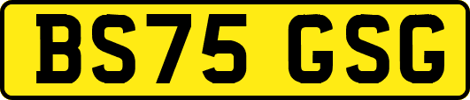 BS75GSG