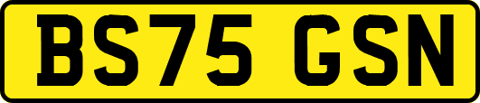 BS75GSN