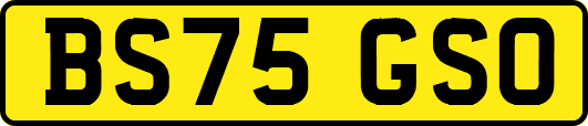 BS75GSO