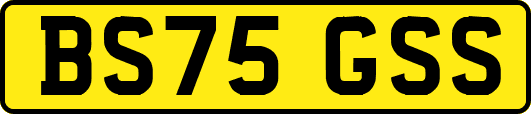 BS75GSS
