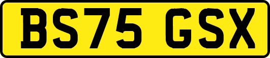 BS75GSX