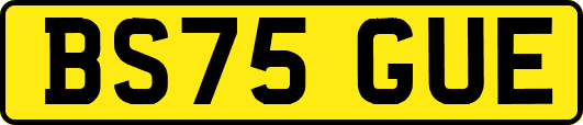 BS75GUE