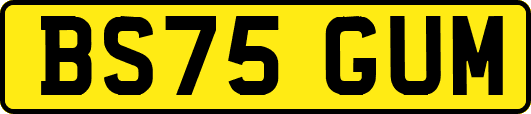 BS75GUM