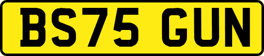 BS75GUN