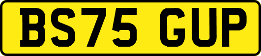 BS75GUP