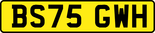 BS75GWH