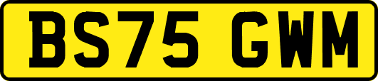 BS75GWM
