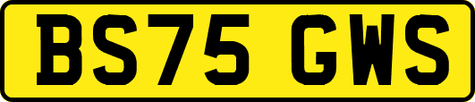 BS75GWS