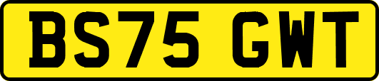 BS75GWT