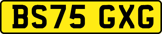 BS75GXG