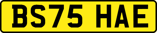 BS75HAE
