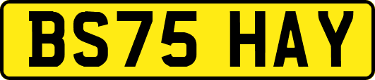 BS75HAY