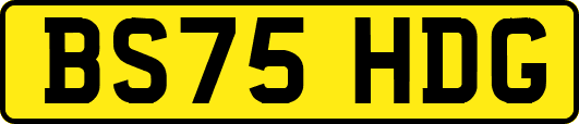 BS75HDG