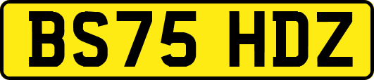 BS75HDZ