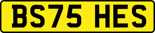 BS75HES