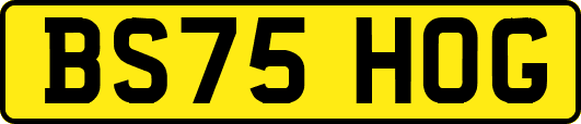 BS75HOG