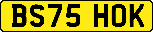 BS75HOK
