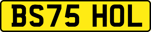 BS75HOL