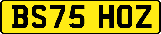 BS75HOZ