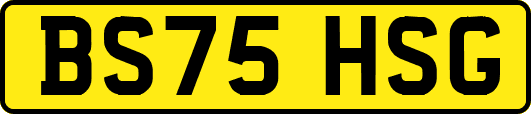 BS75HSG